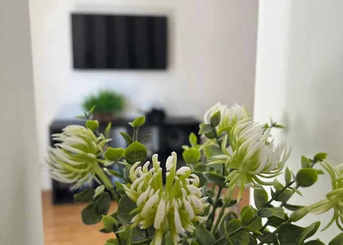 Apartamento de 1 Dormitorio